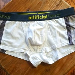 Artificial Flavor trunk undies